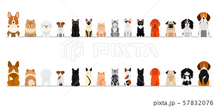犬と猫のボーダー 小型犬と猫 全身 前後セットのイラスト素材 5776
