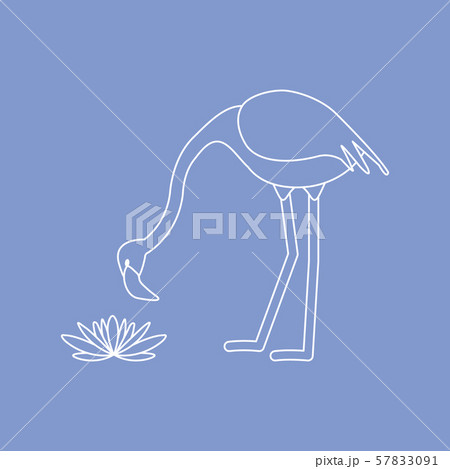 Exotic tropical bird flamingo, water lilies flower 57833091