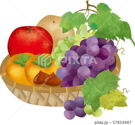 果物 果物 お供え りんご 梨 柿 ぶどう 栗 秋の味覚 水彩 手描き 葉 果実 植物 食べ物のイラスト素材 57833667 Pixta
