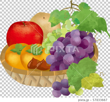 果物 果物 お供え りんご 梨 柿 ぶどう 栗 秋の味覚 水彩 手描き 葉 果実 植物 食べ物のイラスト素材