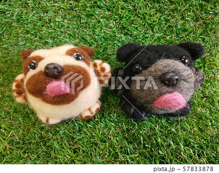 なかよしパグ なかよしパグ 57833878