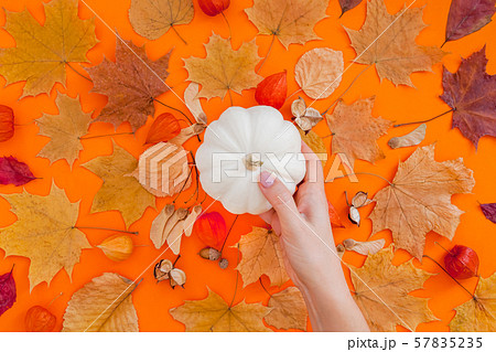 Autumn flat lay composition with white pumpkin Autumn flat lay composition with white pumpkin 57835235