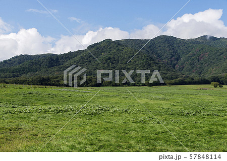 蒜山（ひるぜん） 57848114