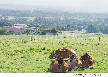 蒜山(ひるぜん)高原 蒜山(ひるぜん)高原 57851159