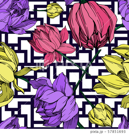 Vector Lotus floral botanical flower. Black and white engraved ink art. Seamless background pattern. 57851693