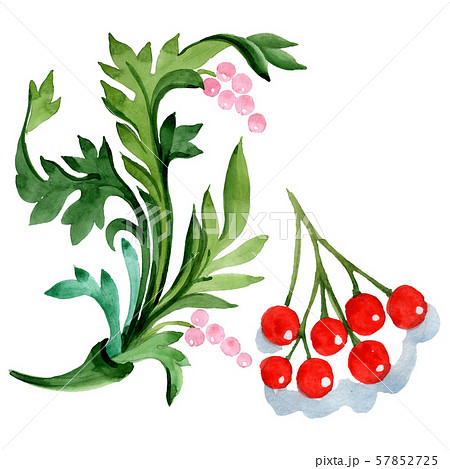 Winter ornament elements. Watercolor background illustration set. Isolated ornament illustration Winter ornament elements. Watercolor background illustration set. Isolated ornament illustration 57852725
