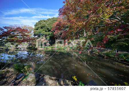 肥後細川庭園 紅葉 肥後細川庭園 紅葉 57855607