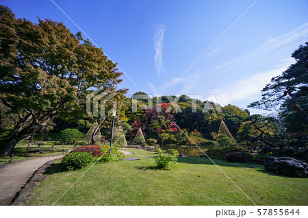 肥後細川庭園　紅葉 57855644
