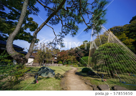 肥後細川庭園 紅葉 肥後細川庭園 紅葉 57855650