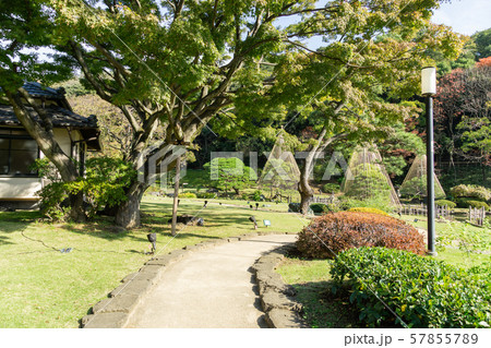 肥後細川庭園　紅葉 57855789