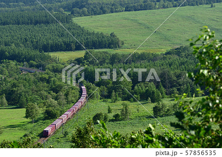 狩勝峠を下る貨物列車 57856535