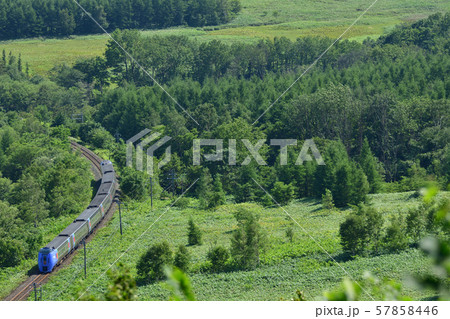 狩勝峠を下る特急『スーパーおおぞら』 57858446