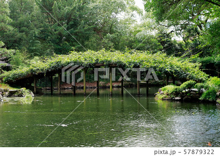 天赦園 57879322