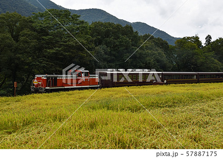鉄道の旅　わたらせ渓谷鐡道　稲田の季節 57887175