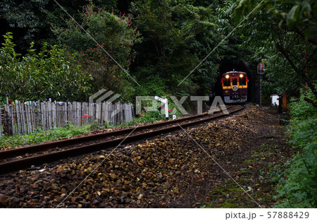 鉄道の旅 わたらせ渓谷鐡道 稲田の季節 鉄道の旅 わたらせ渓谷鐡道 稲田の季節 57888429