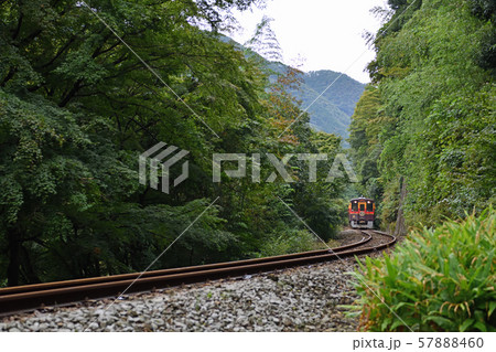 鉄道の旅 わたらせ渓谷鐡道 稲田の季節 鉄道の旅 わたらせ渓谷鐡道 稲田の季節 57888460