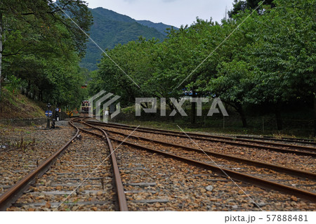 鉄道の旅 わたらせ渓谷鐡道 稲田の季節 鉄道の旅 わたらせ渓谷鐡道 稲田の季節 57888481