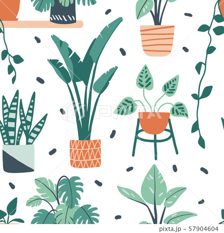 Seamless pattern with cute colorful hand drawn flower pots 57904604