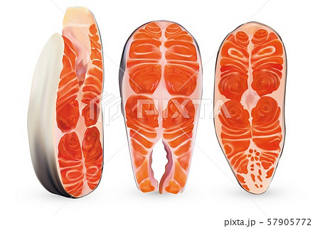 Set fillet salmon isolated on white background. 3D realistic slice of red fish. Beautiful steaks 57905772
