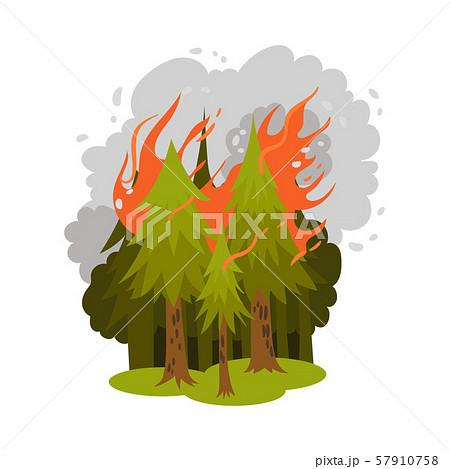 Coniferous forest burn. Vector illustration on a white background. 57910758