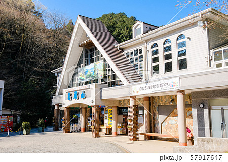高尾山登山 (春) : 清滝駅・山麓駅 高尾山登山 (春) : 清滝駅・山麓駅 57917647