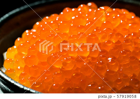 いくら丼 57919058