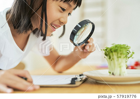 子供 女の子 勉強 子供 女の子 勉強 57919776