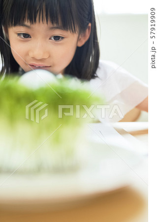 子供 女の子 勉強 子供 女の子 勉強 57919909