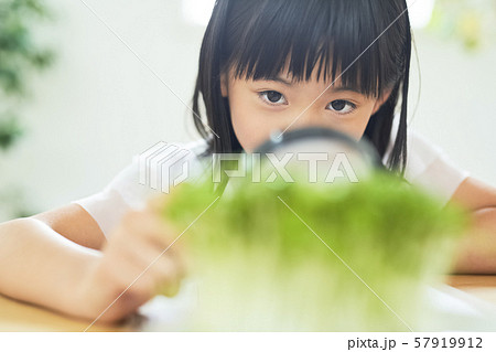 子供　女の子　勉強 57919912