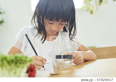 子供 女の子 勉強 子供 女の子 勉強 57920017