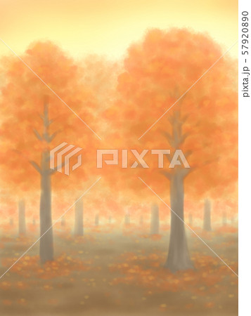 紅葉の木々・朱色・夕焼け、または朝焼け 57920890