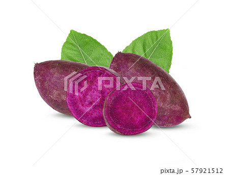 purple sweet potato on white backroung purple sweet potato on white backroung 57921512