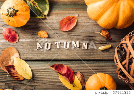 Autumn pumpkin thanksgiving background 57921535