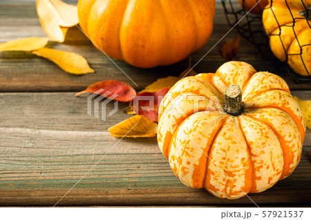 Autumn pumpkin thanksgiving background 57921537