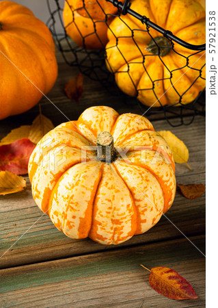 Autumn pumpkin thanksgiving background 57921538