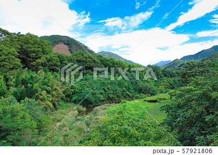 祝橋から望むブドウ畑 祝橋から望むブドウ畑 57921806