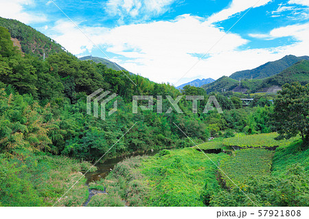 祝橋から望むブドウ畑 祝橋から望むブドウ畑 57921808