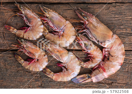 Tiger Prawn Seafood Group. 57922508