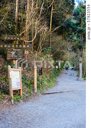 高尾山登山 (春) : 6号路 高尾山登山 (春) : 6号路 57923554