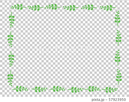 Green frame 57923950