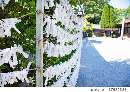 知立神社のおみくじ 57925383