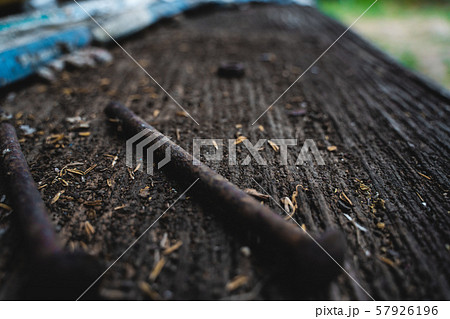 The selected focus very old rusty screws on the 57926196