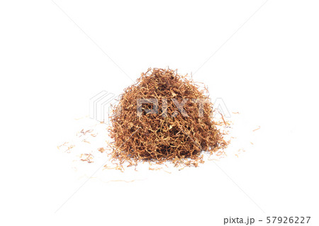 Tobacco leaf on isolated white 57926227