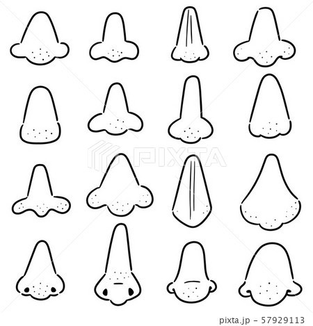 vector set of nose vector set of nose 57929113