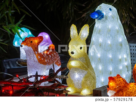イルミネーションのガラスの動物 イルミネーションのガラスの動物 57929178