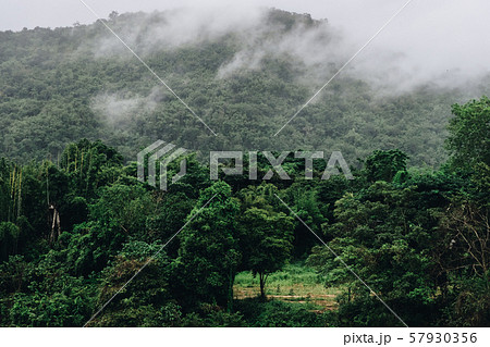 Landscape mountain view,Fog and Clouds are rolling through after the rain in the Mountains National Park,thailand. 57930356
