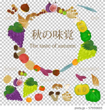 秋の味覚 セット 57930605