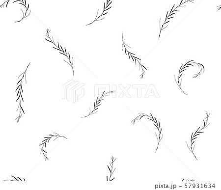 Vector seamless botanical pattern with hand drawn herbs isolated on white background. Endless Vector seamless botanical pattern with hand drawn herbs isolated on white background. Endless 57931634