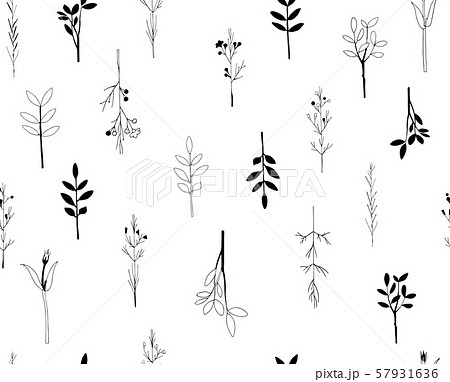Vector seamless botanical pattern with hand drawn herbs isolated on white background. Endless Vector seamless botanical pattern with hand drawn herbs isolated on white background. Endless 57931636