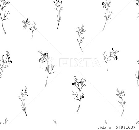 Vector seamless botanical pattern with hand drawn herbs isolated on white background. Endless Vector seamless botanical pattern with hand drawn herbs isolated on white background. Endless 57931637